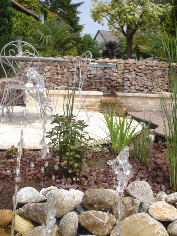 Cette image montre un jardin.