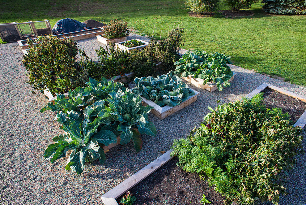 Inspiration for a traditional garden in Detroit with a vegetable garden.