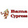Bama Cypress