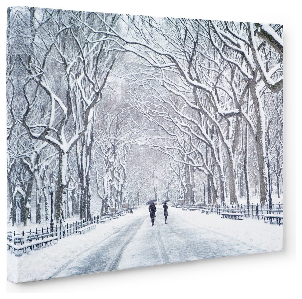 New York Central Park Wall Art, 'The Mall In Winter', 11