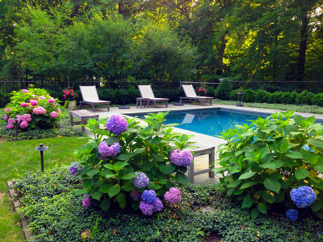 Pools traditional-pool