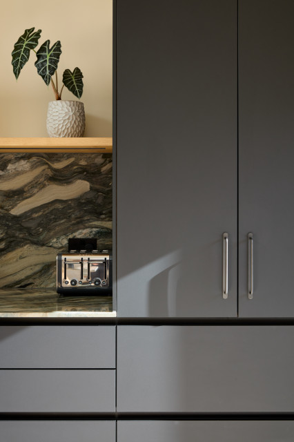 Organic Kitchen modern-kitchen