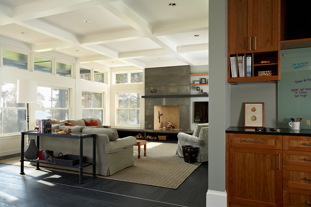 Design ideas for a modern family room in Minneapolis.