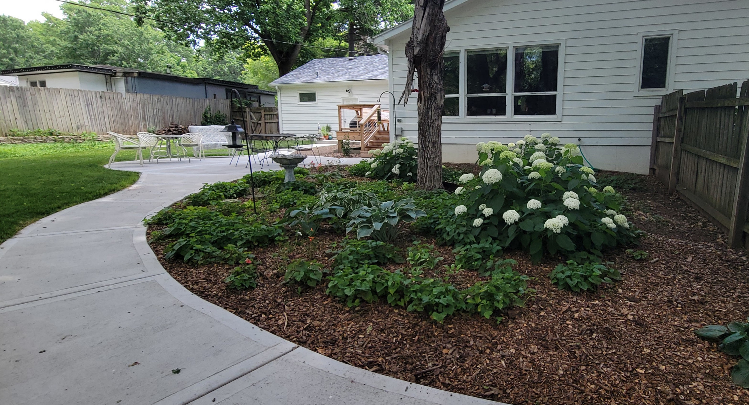 2025 Garden Highlights