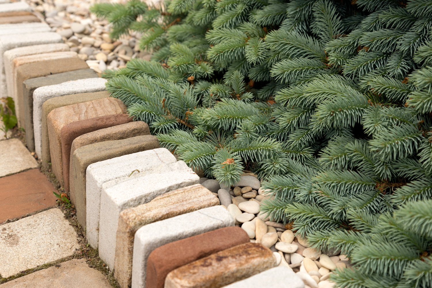 Новая Рига, Москва