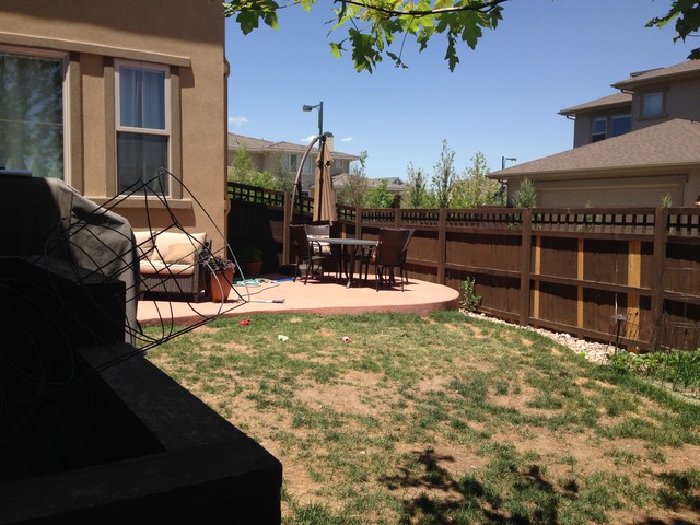 BEFORE... contemporary-garden