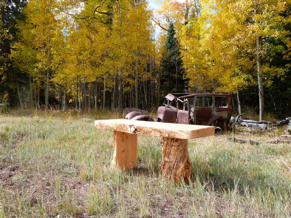 Mountain style home design photo in Denver