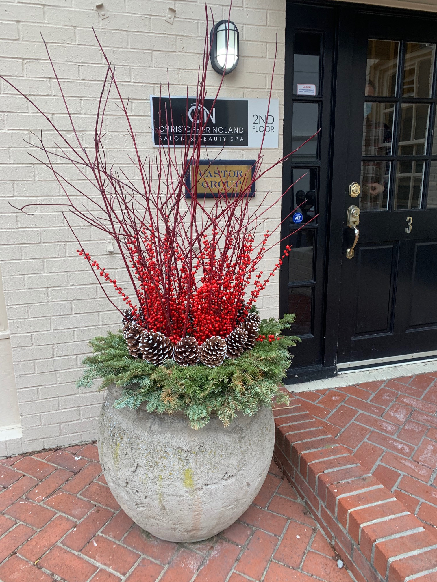 Holiday Planters with Red Twig Dogwood, Winter berry, Sugar cones painted white and spruce wreath. Photo: Peter Atkins. Greenwich, CT