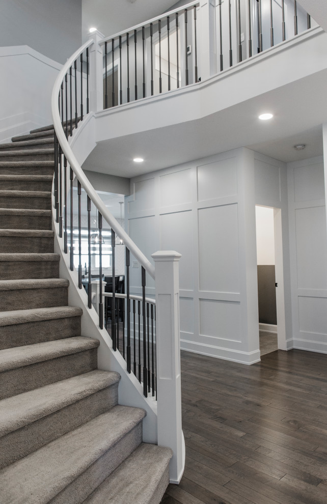 Inspiration for a mid-sized transitional carpeted curved staircase in Edmonton with carpet risers, metal railing and panelled walls.
