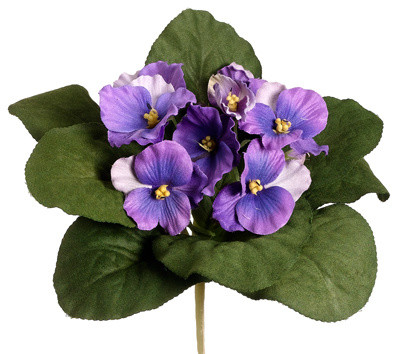 Silk Plants Direct African Violet Bush Pack Of 12 Traditional Silk Plants Direct African Violet Bush Pack Of 12 Lavender