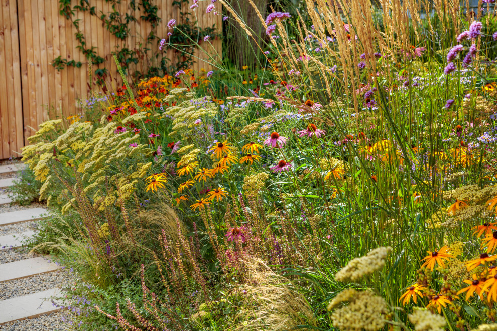 Mittelgroßer Moderner Vorgarten im Sommer mit Blumenbeet, direkter Sonneneinstrahlung, Natursteinplatten und Holzzaun in London