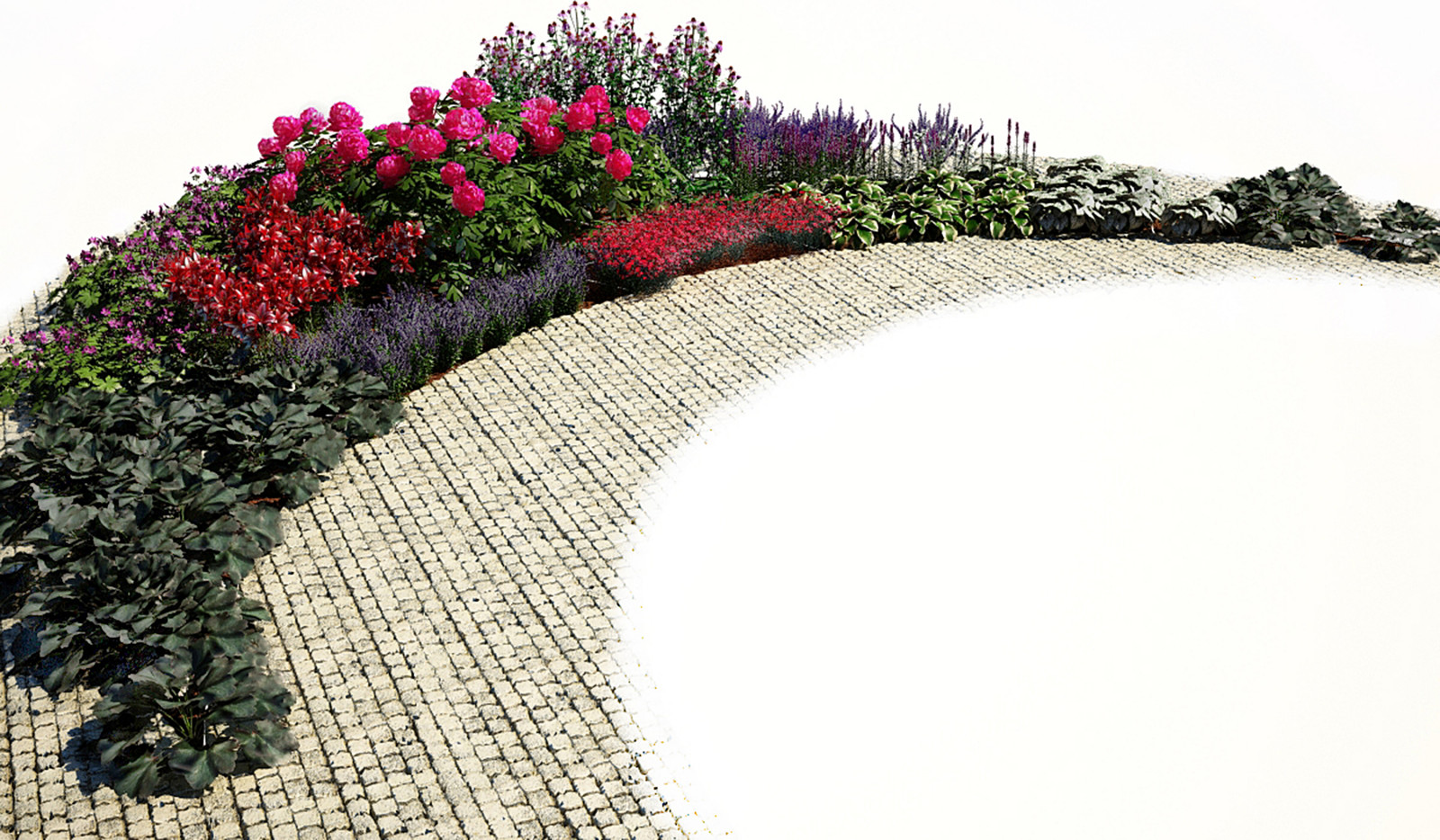 Цветник в пурпурных тонах