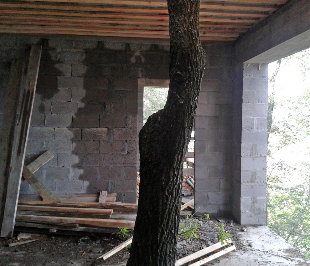 С любовью к природе