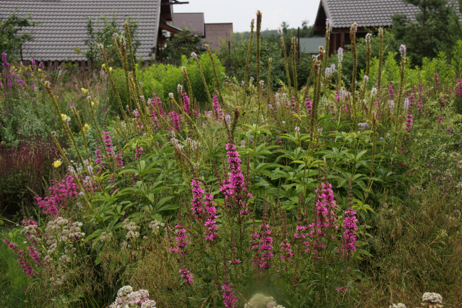 Сад "Три плюс два"