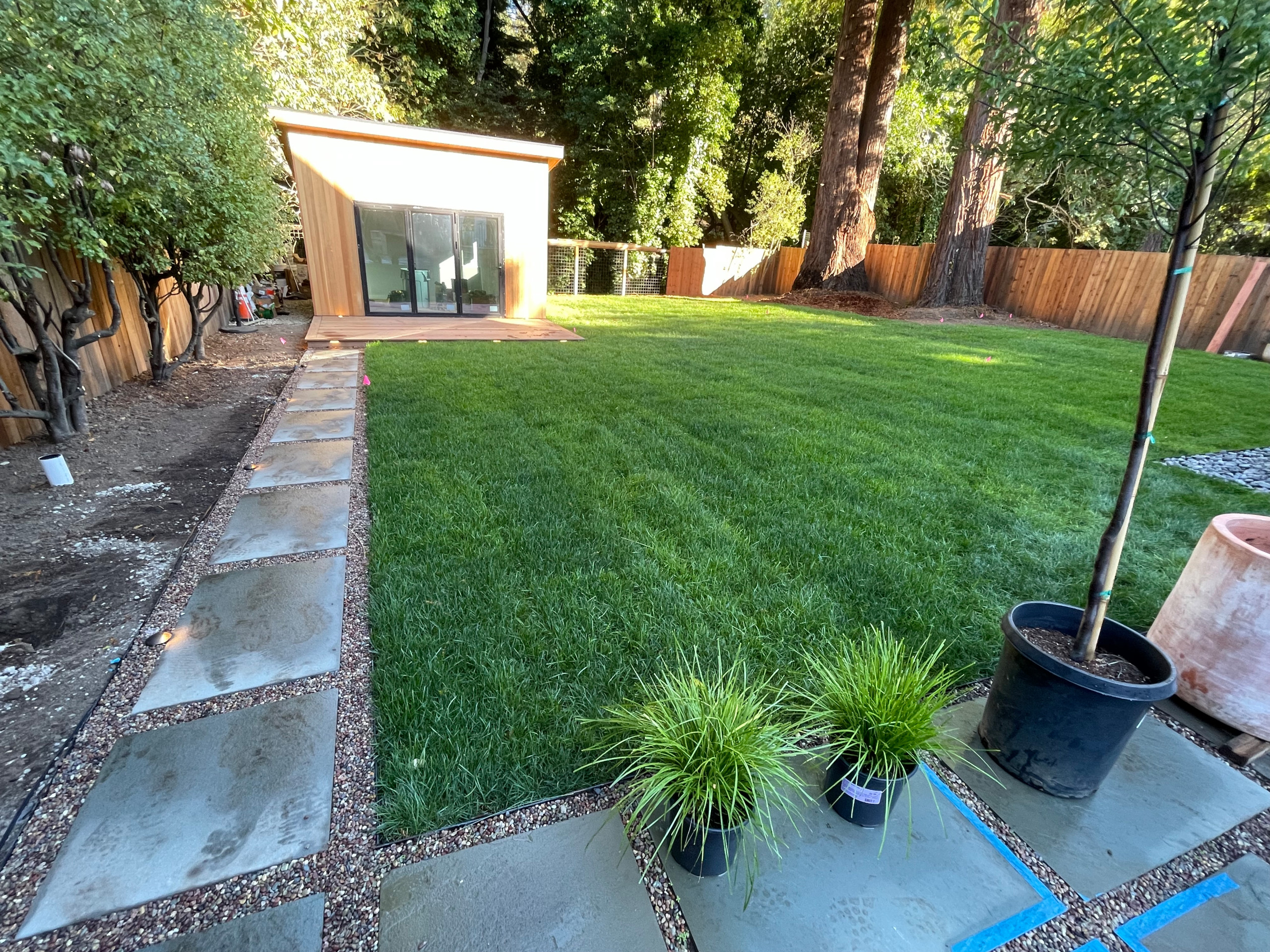 Natural Grass