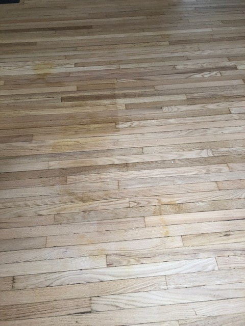 Help! Red Oak Floors & Loba 2k Invisible- stain problems :/