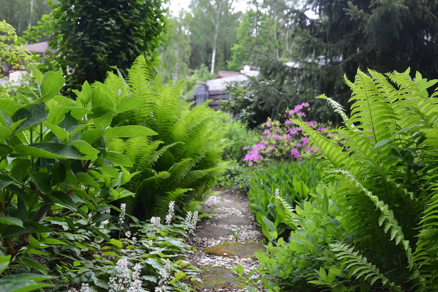 Сад с японским характером в КП Ландшафт