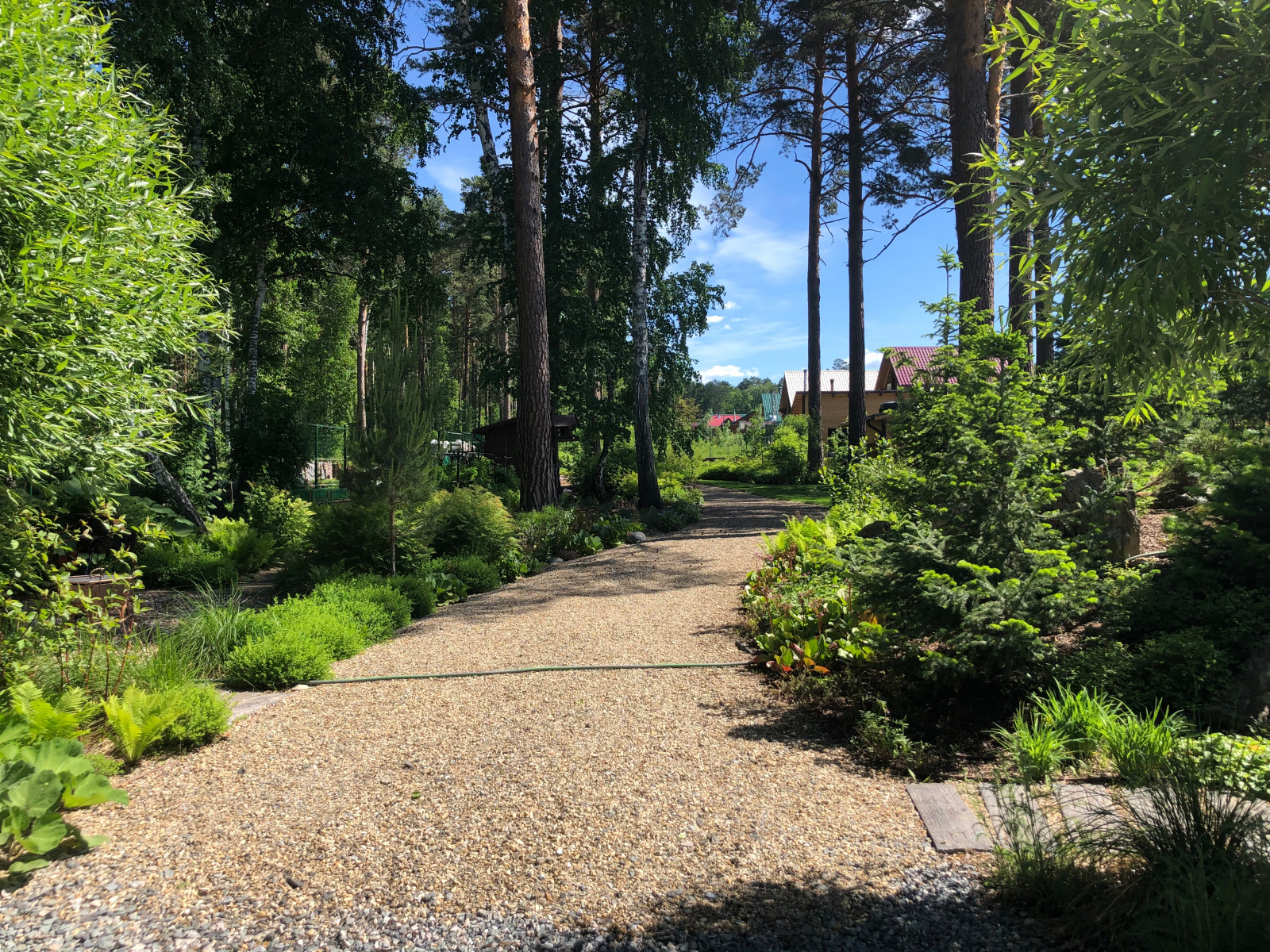 Усадьба на краю леса