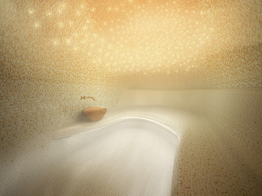 Проект частного оздоровительного комплекса