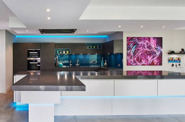 Ultra Contemporary Kitchen trendy-koekken