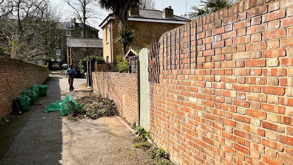 Ivy removal and privacy screen installation