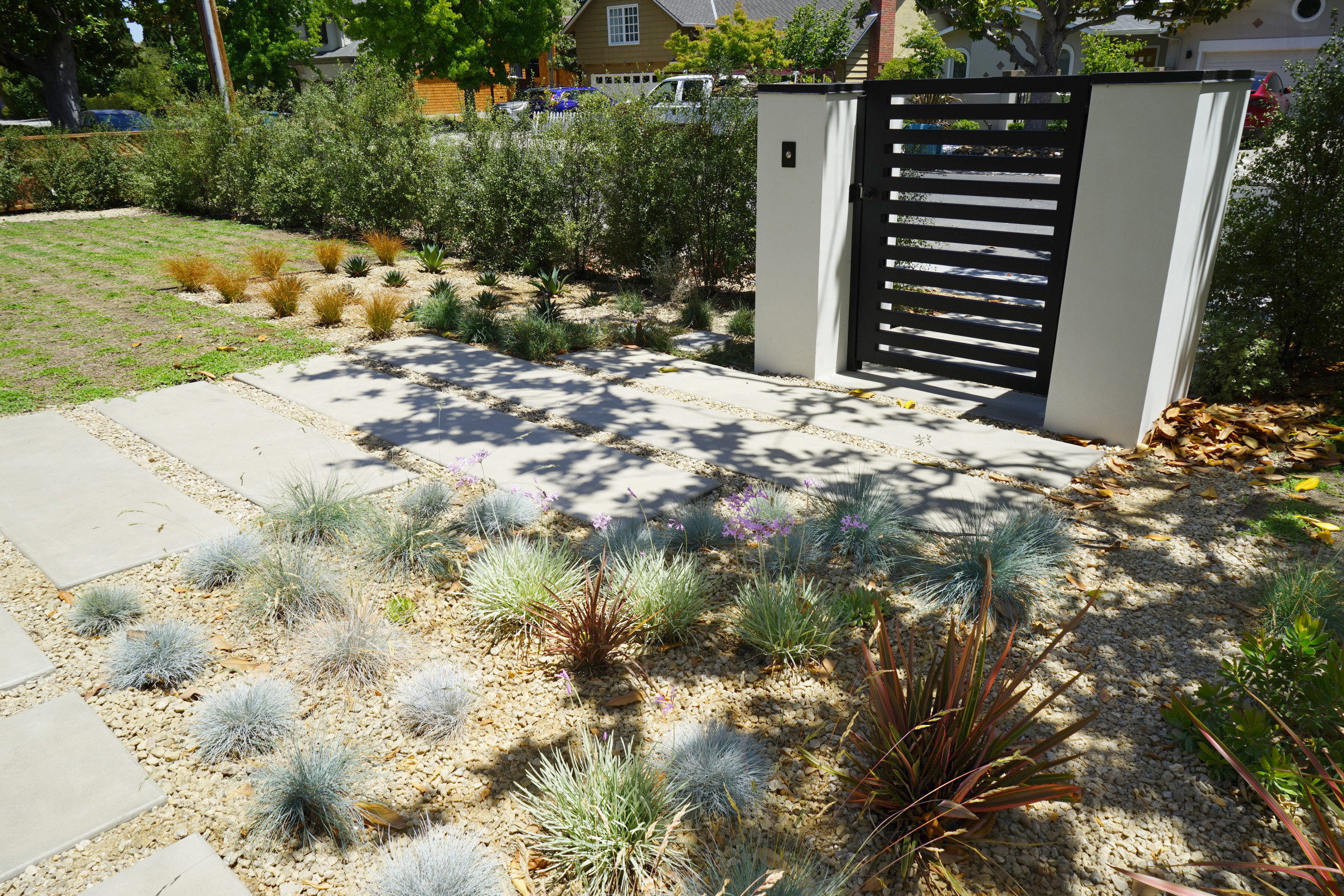 Palo Alto Mediterranean Landscape