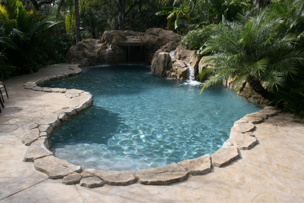 This is an example of a tropical custom-shaped pool in Orlando with with privacy feature.