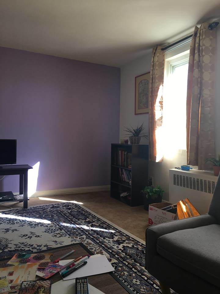 Glidden Exterior Paint + Primer: Purple/Eggplant, One Coat, Flat