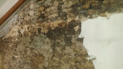 Muri con elementi in pietra Intonaco effetto pietra