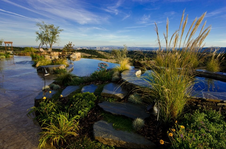 Design ideas for a mediterranean pool in San Luis Obispo.