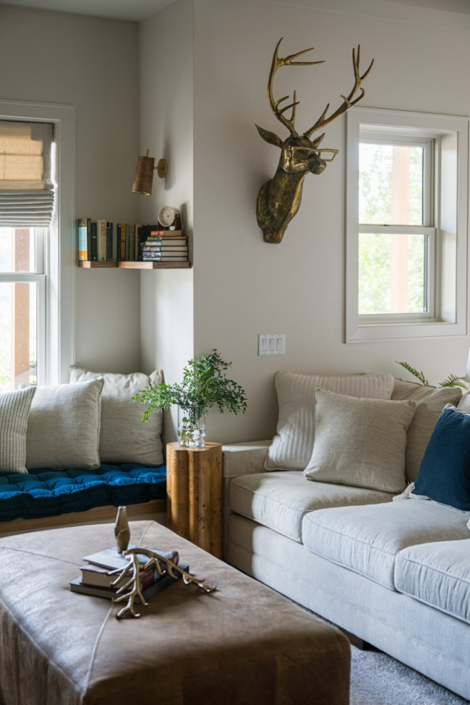 Basement - transitional basement idea