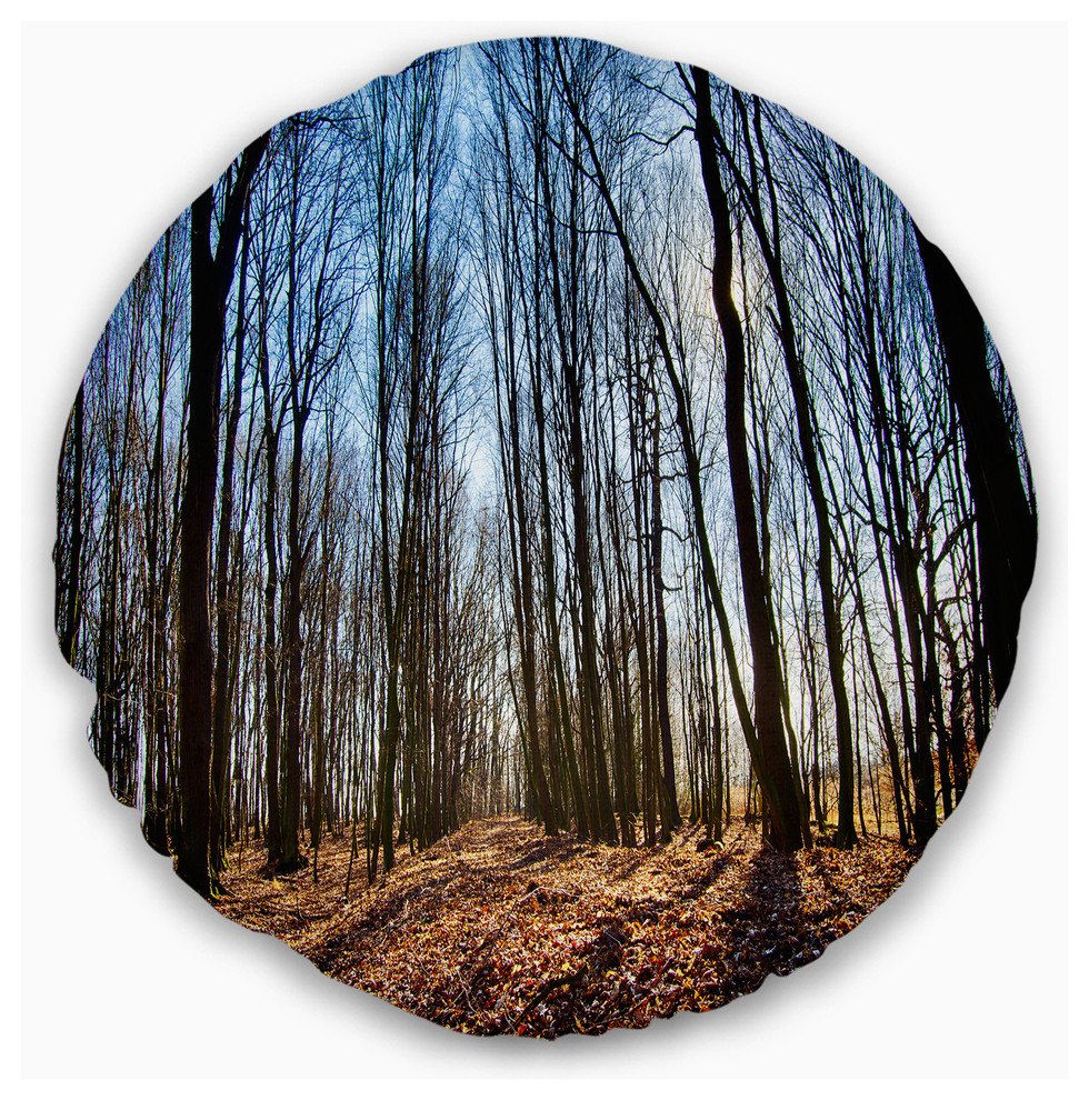 Designart CU13998-16-16 Dark Trees Sunrise Forest Cushion Cover for Living Room Sofa Throw Pillow 16 x 16