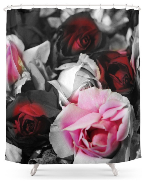 Black And White Roses Fade To Pink And Red Shower Curtain