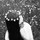 webuser_583413742