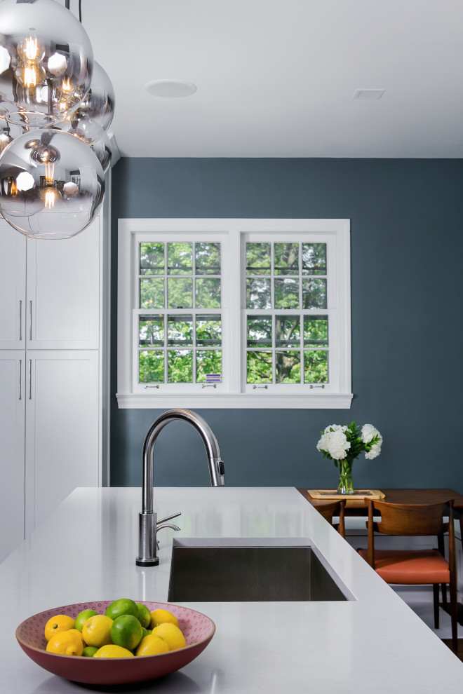 Kitchen - transitional kitchen idea