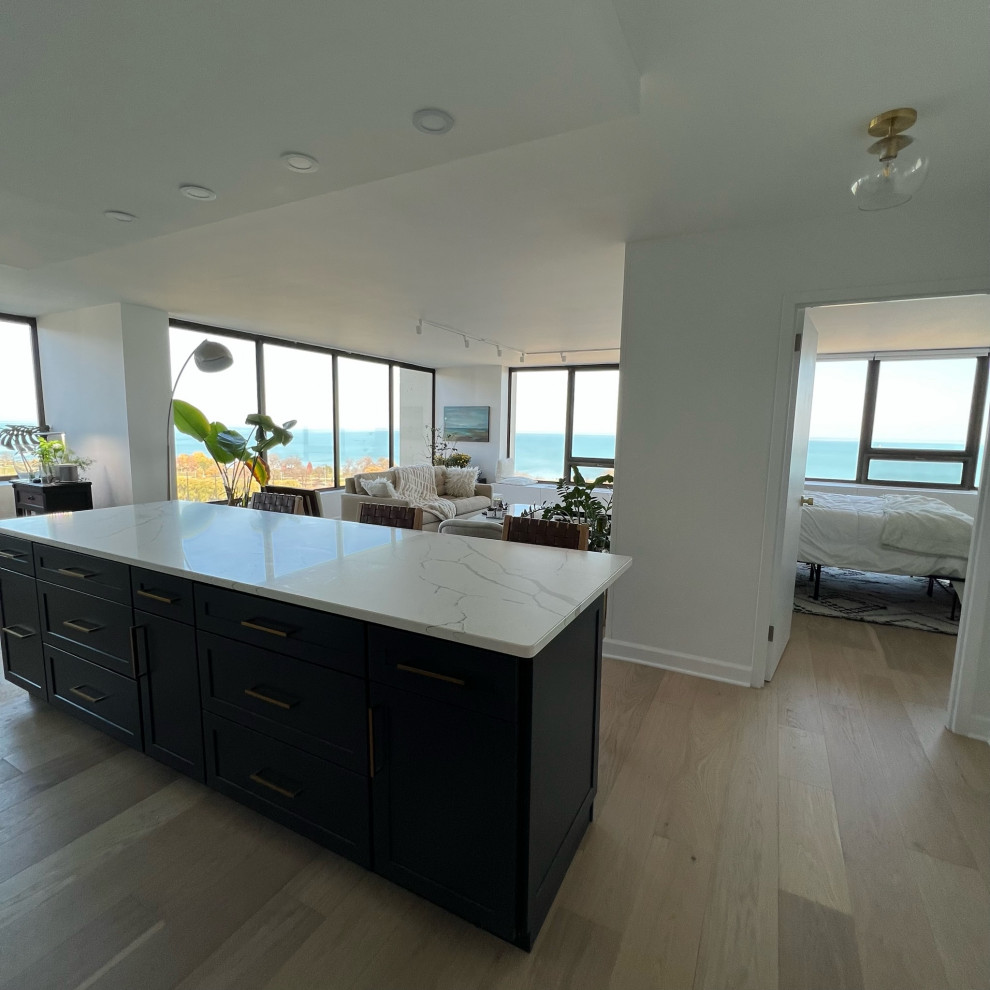 Inspiration for a transitional kitchen remodel in Chicago