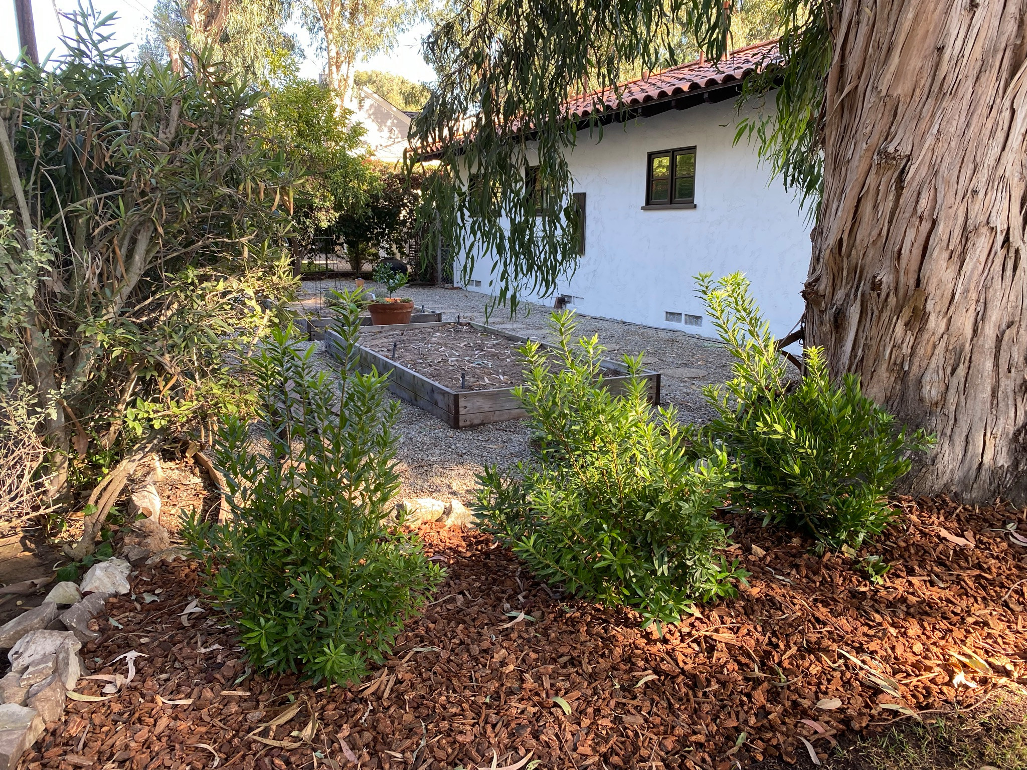 Palos Verdes Mediterranean Raised Bed