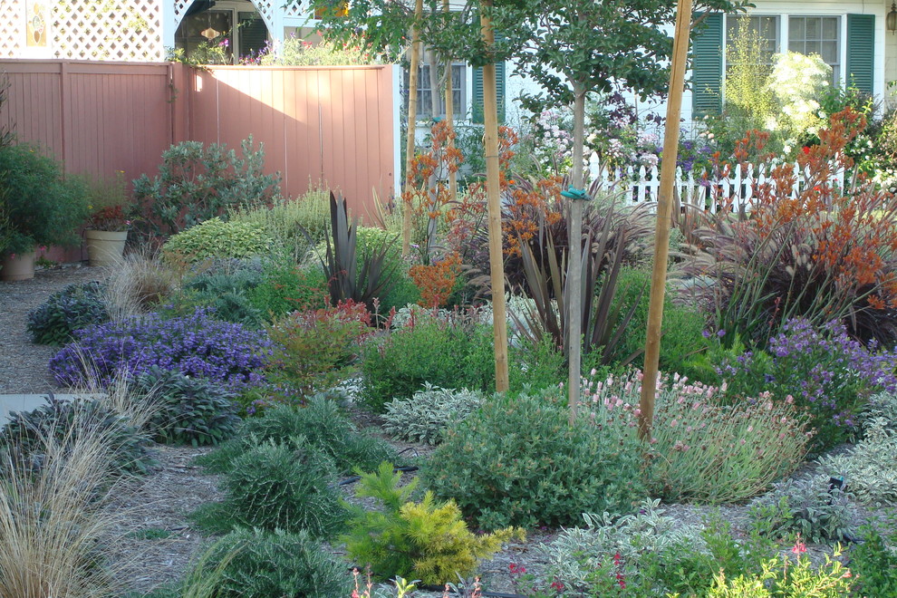 Design ideas for a mediterranean front yard garden in Los Angeles.