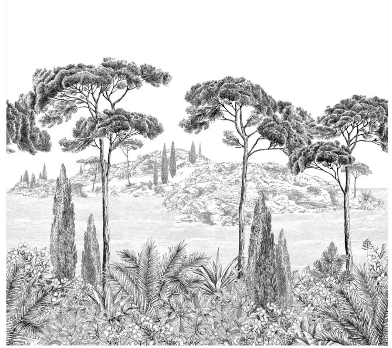 PANORAMIQUE