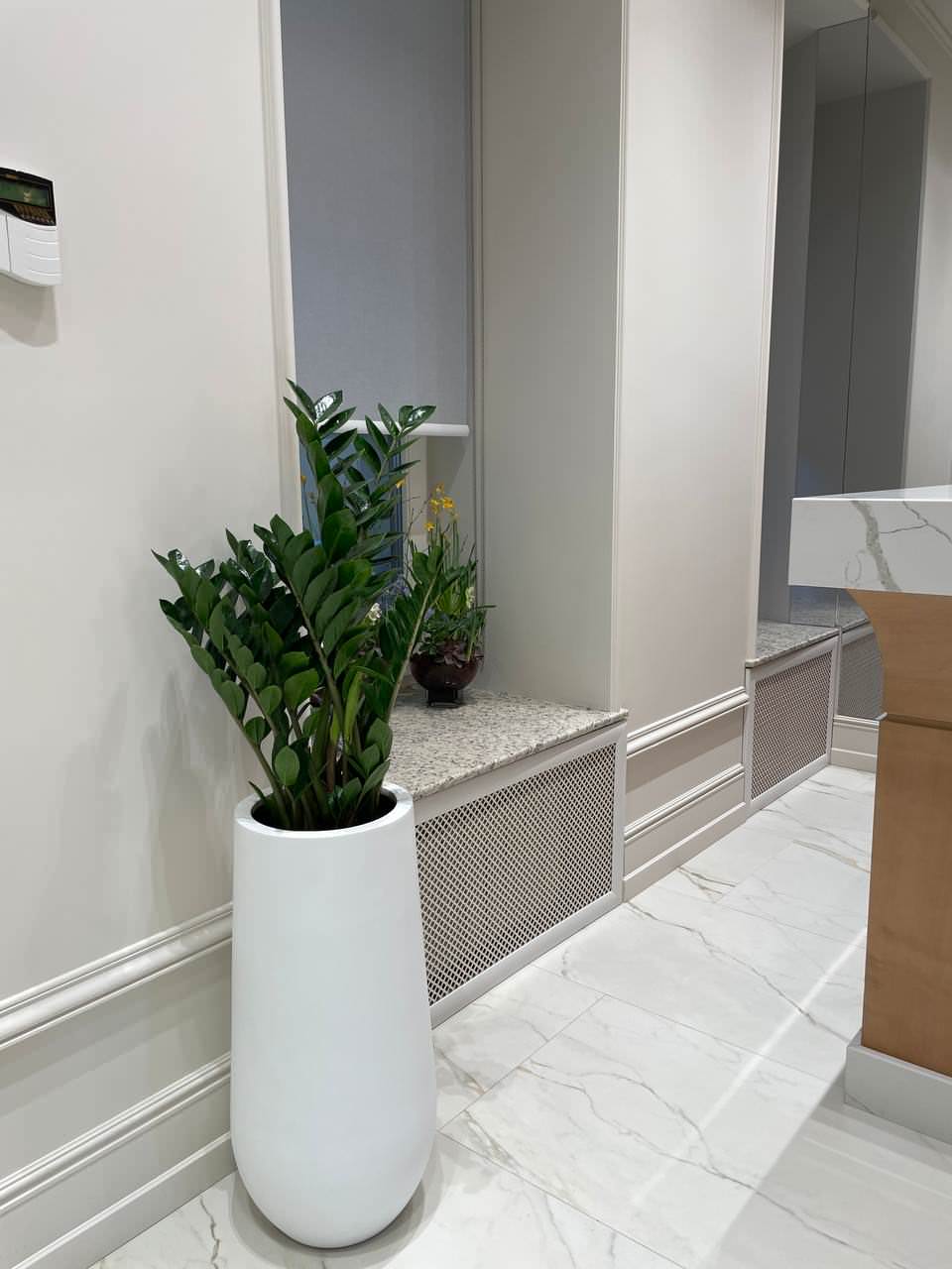 Клиника косметологии г. Санкт-Петербург