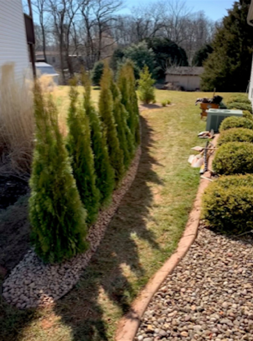 Softscape Projects