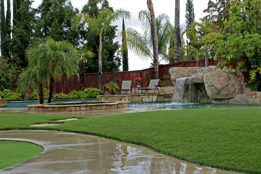 Design ideas for a tropical backyard xeriscape in Orange County.