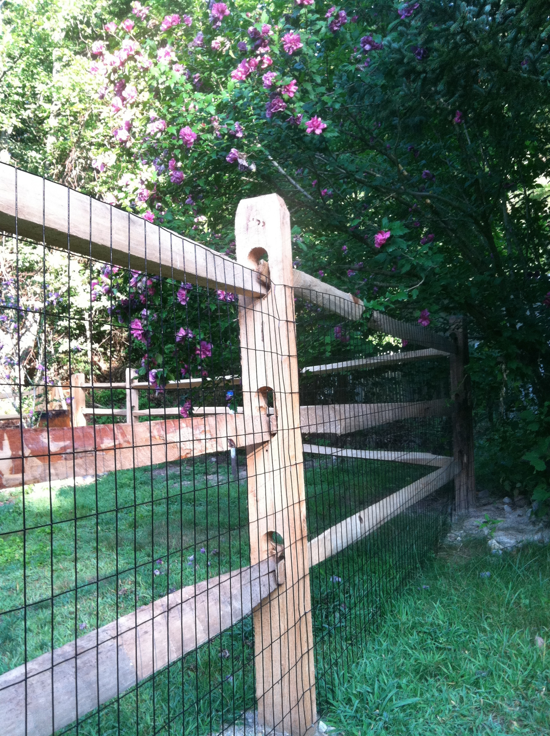 Split Rail Fence Houzz