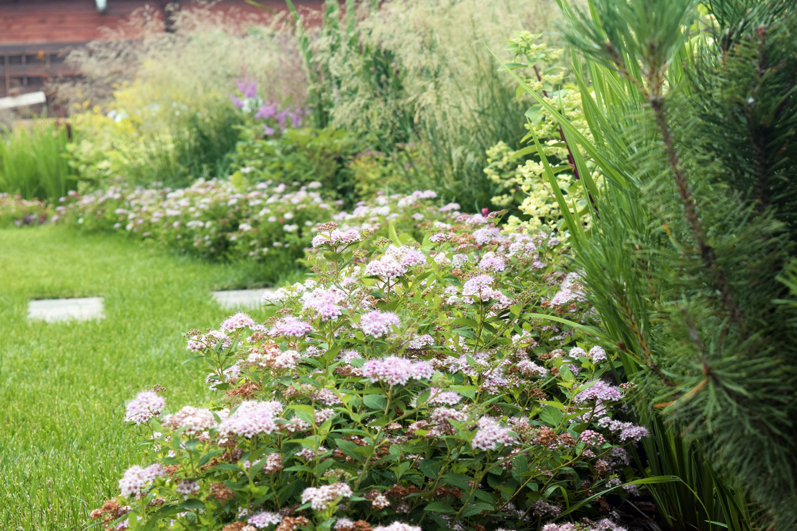 Маленькая Голландия