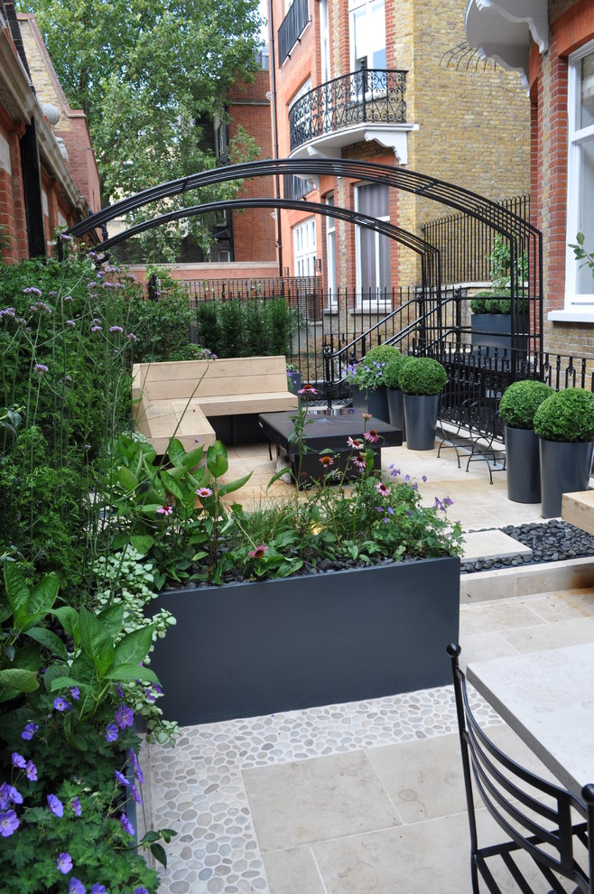 Photo of a small contemporary backyard deck in London with a container garden and a pergola.