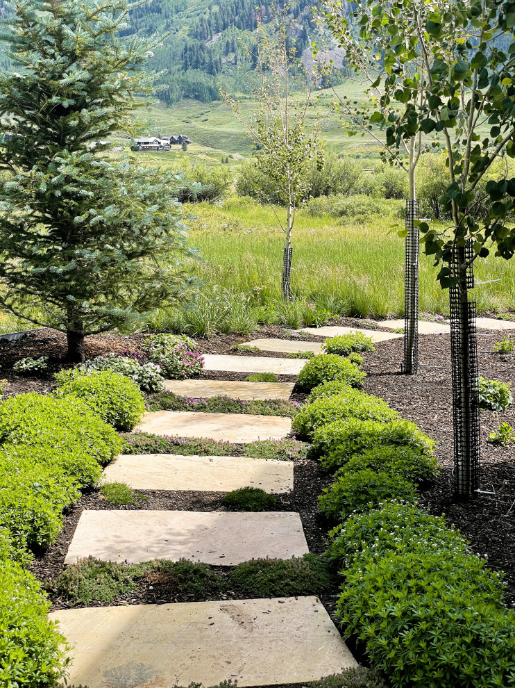 Ispirazione per un giardino xeriscape moderno esposto in pieno sole di medie dimensioni e dietro casa in estate con un focolare e graniglia di granito