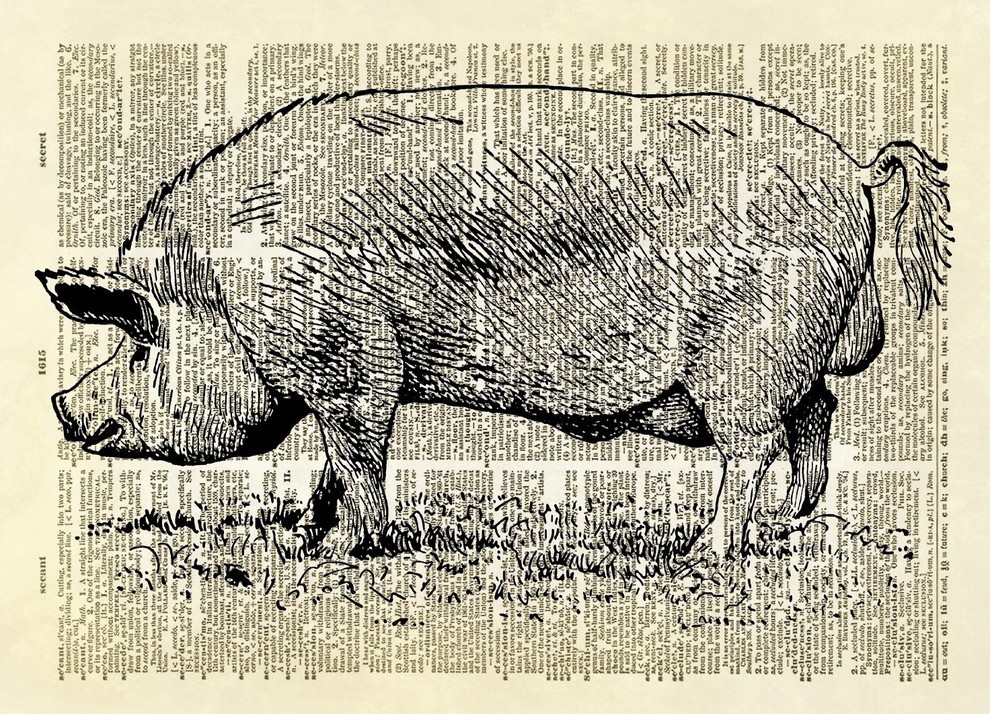 Pig Sow Farm Animal Dictionary Art Print - Farmhouse - Prints And Posters -  by Altered Artichoke | Houzz
