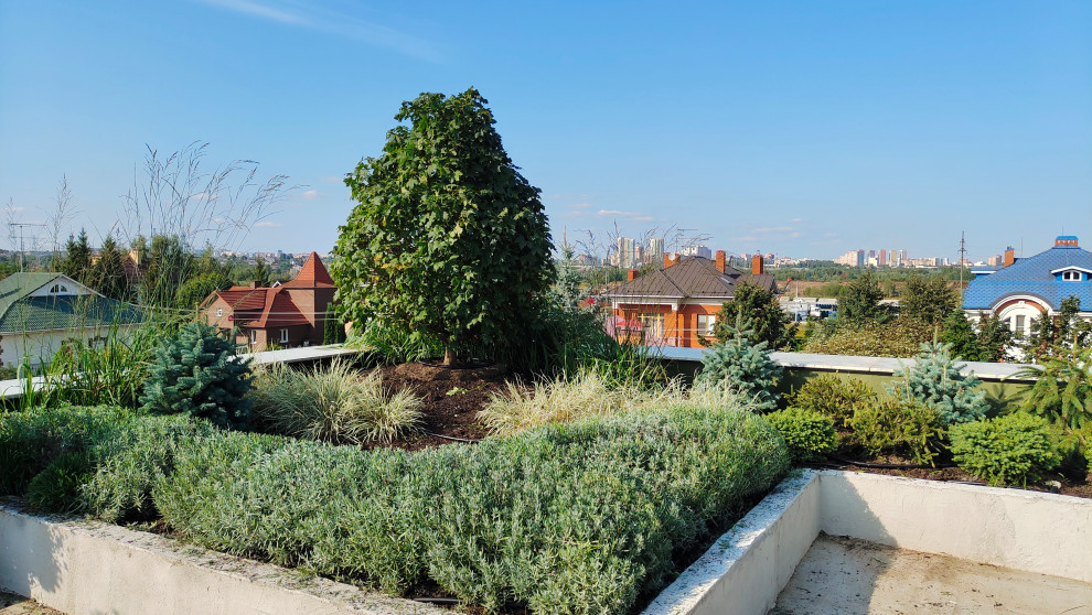 Сад на крыше