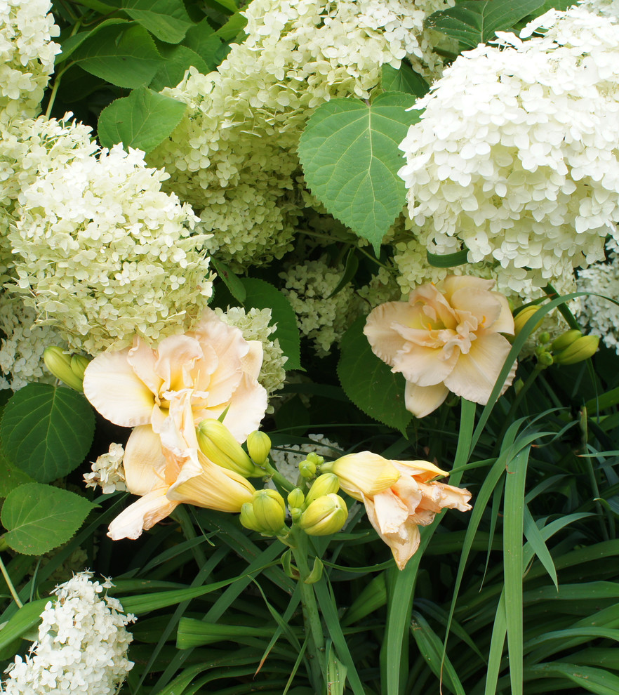 Участок 30 соток