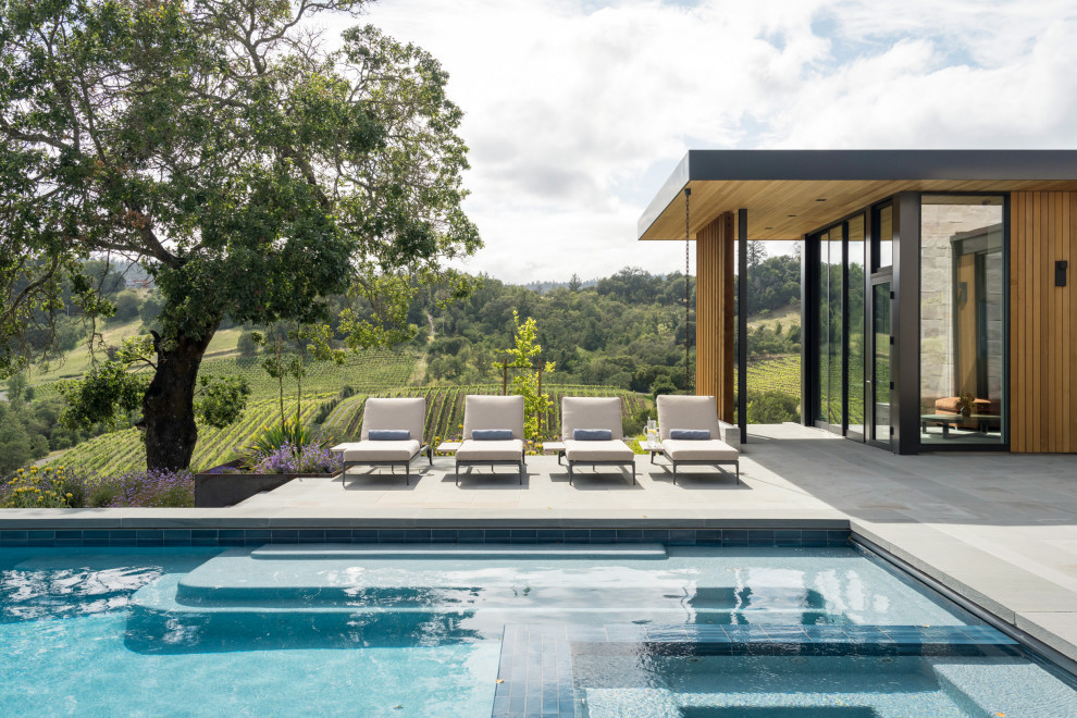 На фото: огромный прямоугольный бассейн на заднем дворе в стиле модернизм с покрытием из каменной брусчатки с